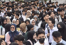  PHK di Mana-Mana, BPS Malah Catat Pengangguran Turun 
