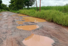  Jalan Waykanan–Tubaba Rusak Parah