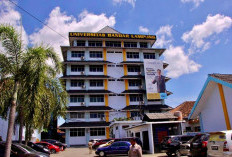 UBL Buka Kelas Profesional, Kuota Terbatas!