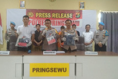 DPO Jambret di Pringsewu Lampung Akhirnya Ditangkap, Korbannya Tewas Laka Lantas  