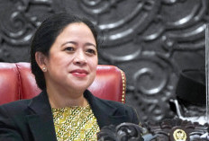 Puan Maharani Minta Kasus Mendiktisaintek Ditangani Secara Transparan