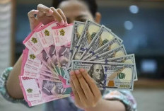  Kejar 23 Persen PDB, Perlu Perbaiki 4 Klaster