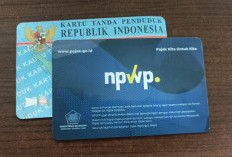 78 Juta NIK Terhubung dengan NPWP