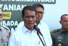  Beras Oplosan Rugikan Negara dan Konsumen 