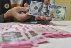  Dana Asing Keluar Capai Rp14,24 T