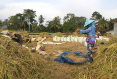 DPR Dukung Penghapusan Utang Petani dan Nelayan 