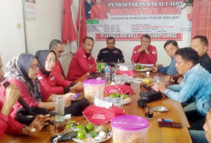 Hanya 14 Bacalon Kada dan Wakada yang Lolos di PDIP Pringsewu Lampung, Ini Sebabnya