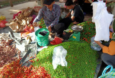 Harga Kebutuhan Pokok di Mesuji Masih Stabil Menjelang Ramadan