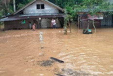 Banjir Landa Kecamatan BNS,  Puluhan Rumah Terendam