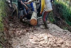   Lelah Menunggu Pemerintah Warga Banjarsakti Swadaya Perbaiki Jalan 