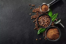  Target Produksi Kopi RI 2026 Sebesar 786.000 Ton