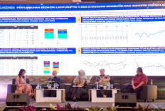 Lampung Fokus Percepatan Hilirisasi