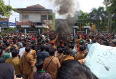 Ratusan Honorer Guncang Kantor Wali Kota Metro, Tuntut Janji Kampanye hingga Status 