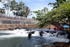 Nikmati Sensasi Terapi Ikan dan Mandi di Wisata Kali Madek Lampung Timur