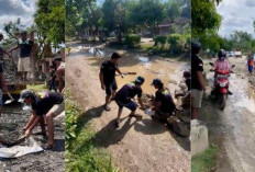  Sopir hingga Warga Gotong-Royong Perbaiki Jalan Waykanan