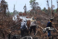 Tiga Hot Spot Karhutla Terdeteksi di Lampung 