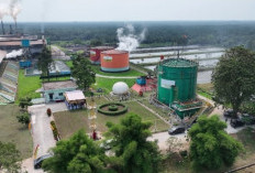 Dorong Energi Ramah Lingkungan, PTPN IV PalmCo Bersama Aiken Jepang Bangun Pembangkit Biogas di Riau