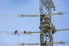 PLN Raup Pendapatan Rp254,6 T 