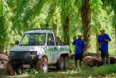  Industri Sawit Ikut Perangi Perubahan Iklim
