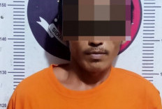 Polsek Blambanganumpu Ringkus DPO Pelaku Curanmor di Negeribatin
