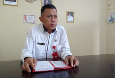 PDN Diretas, Pelayanan Publik Kota Bandar Lampung Tetap Aman 