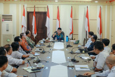 Gubernur Mirza Apresiasi TPP yang Dukung Program Desaku Maju di Lampung