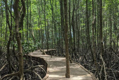 Pesona Pantai Dewi Mandapa Lewat Pulau Cinta Tersembunyi