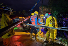 PLN Tuntaskan Pemulihan Kelistrikan Sumut 100 Persen! Sumut Kembali Menyala