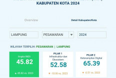  IMDI 2024, Pesawaran Raih Skor 45,82