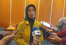 Dewan Pers Imbau Hindari Kekerasan terhadap Jurnalis di Masa Pilkada