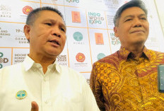 Nilai Ekspor Produk Kayu Indonesia Tembus USD3,23 M 