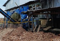 Innalillahi, Pekerja di Lampung Tengah Tewas Terjatuh Ke Dalam Mesin Penghancur Kayu