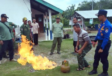 2023, Damkarmat Mesuji Catat Penanganan Ular dan Pohon Tumbang Terbanyak 