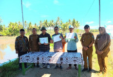 Pringsewu Suplai Hasil Pertanian ke Jakarta