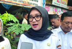 Wagub Jihan Ajak Masyarakat Waspada DBD
