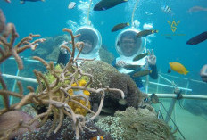 Ini 5 Rekomendasi Wisata Bawah Laut di Lampung untuk Isi Libur Lebaran 2025