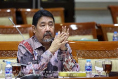 SETARA Institute: Evaluasi PDIP Terhadap Pelaksanaan Pilkada Perlu Dimaklumi sebagai Aspirasi Politik