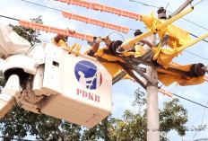 Jaga Terang Jelang Idul Fitri, PLN UP3 Kotabumi Optimalkan Pemeliharaan Jaringan Listrik Tanpa Pemadaman