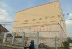 Puluhan Pengusaha Sarang Walet di Lampura Nunggak Pajak 