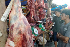 Daging Impor Non-halal Bakal Disita