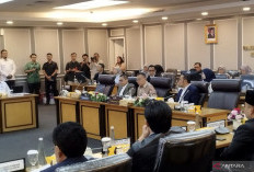 DPR RI Ajak Musisi dan Penyelenggara Konser Terlibat dalam Revisi UU Hak Cipta