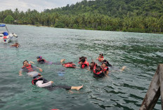 Wisata Snorkeling di Pulau Pahawang Pesawaran Lampung