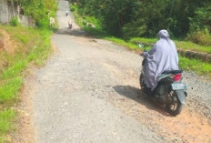Aleg Minta Warga Awasi Perbaikan Jalan Bumiharjo-Simpang Waytuba