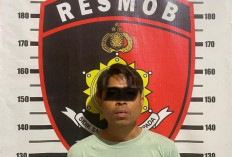 Komplotan Pencurian Gasak TV hingga Kuali 