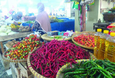 Harga Cabai Merah Naik Rp1.000 Per Kilogram, Pedagang Mengeluh Sepinya Pembeli