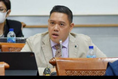 DPR Minta Kemenlu Siapkan Langkah Antisipatif terkait Kericuhan di Nepal