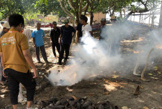 Masyarakat Limau Dilatih Buat Biochar dari Limbah Kulit Kakao