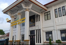 Kades Bakti Rasa Kembalikan Temuan dan Minta Maaf ke Kejari Lamsel