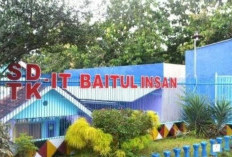 SDIT Baitul Insan Membuka Lowongan Guru PJOK Wanita dan Guru Konseling