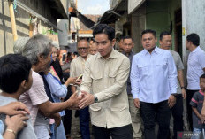 Forum Purnawirawan TNI Usulkan Pemakzulan Gibran, Surati DPR dan MPR
